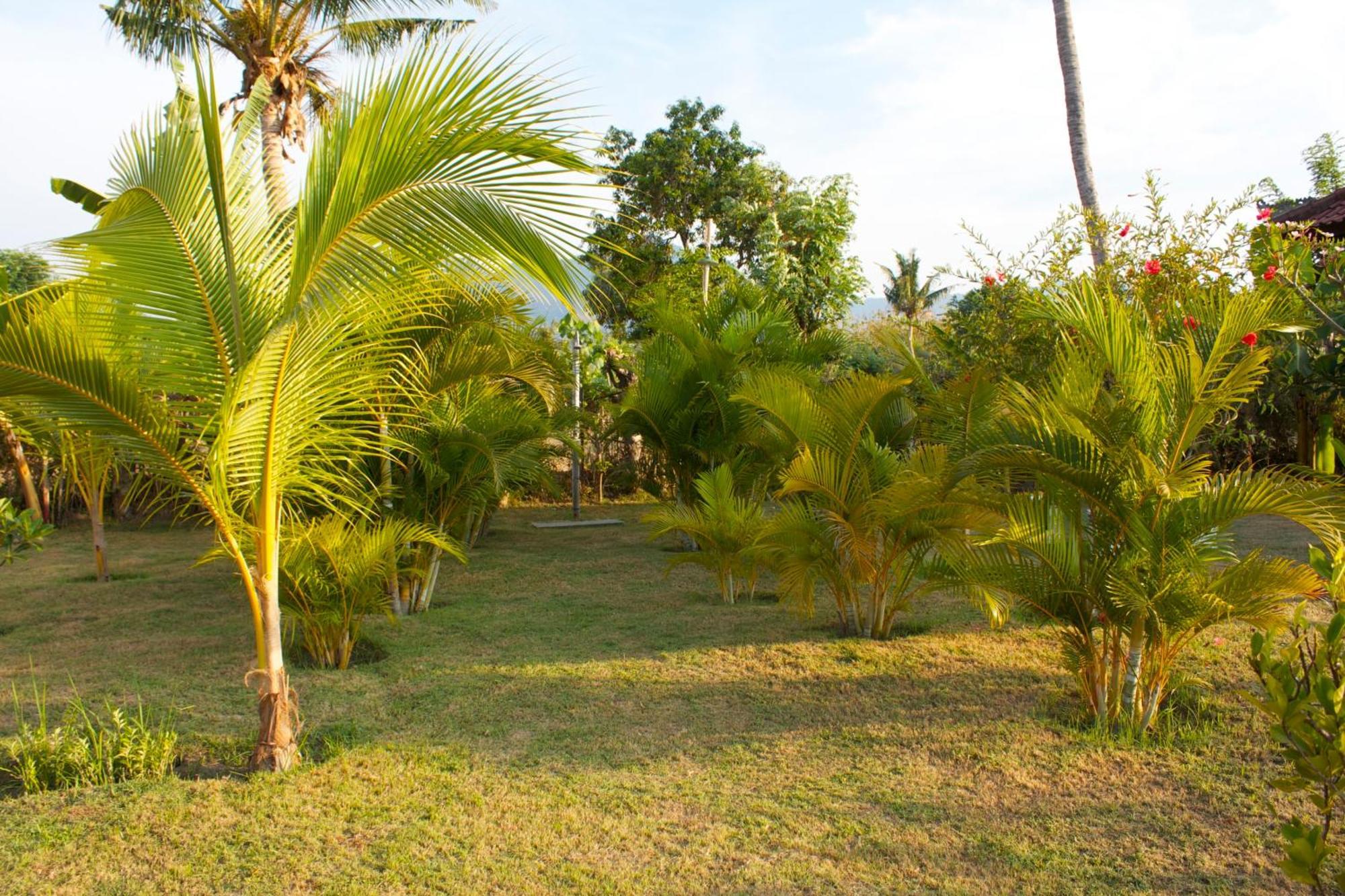Bali Oase Resort Pemuteran Esterno foto