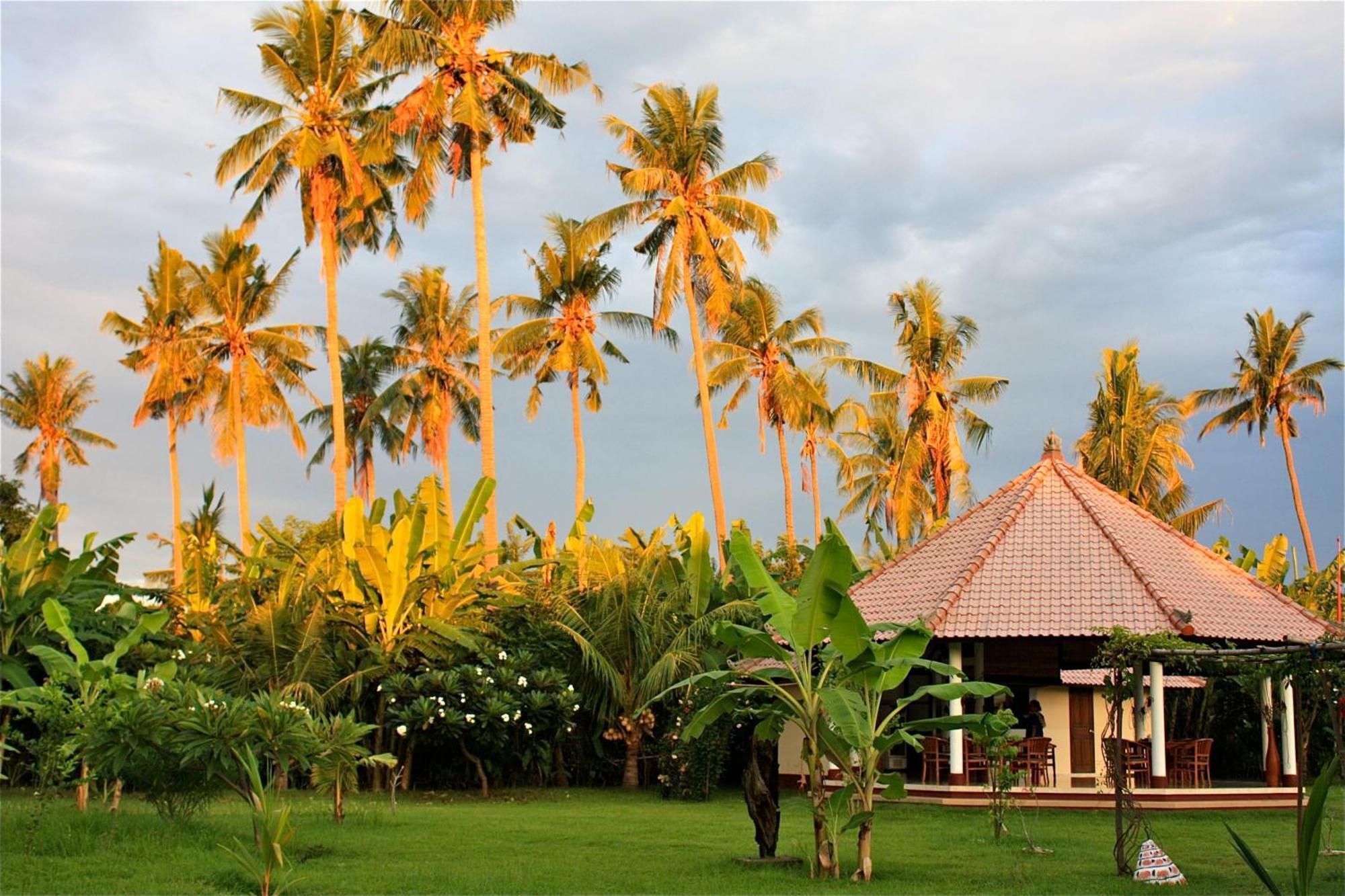 Bali Oase Resort Pemuteran Esterno foto